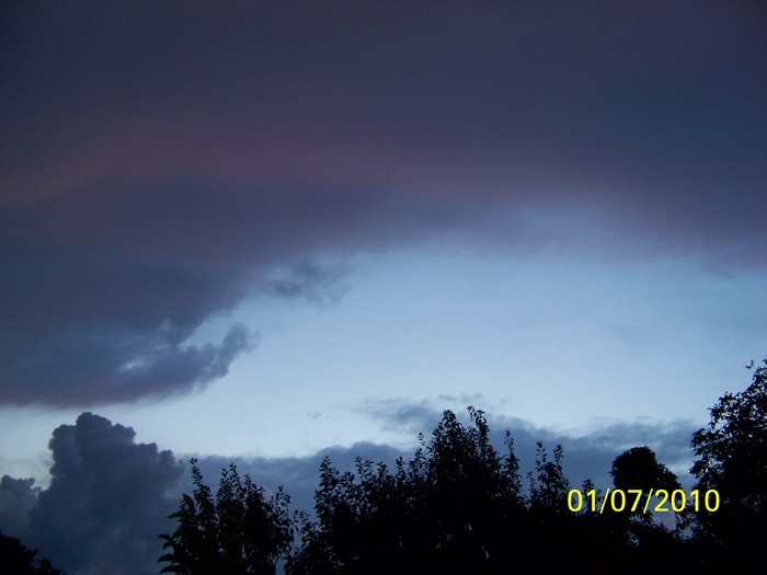 100_4403 - 8 iulie 2010 Fotografii