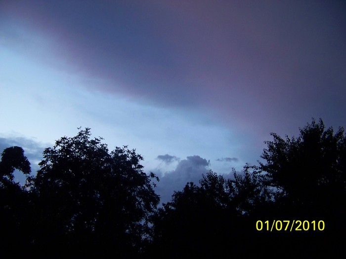 100_4405 - 8 iulie 2010 Fotografii