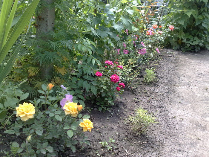 040720104947