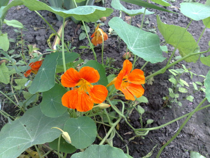 040720104971