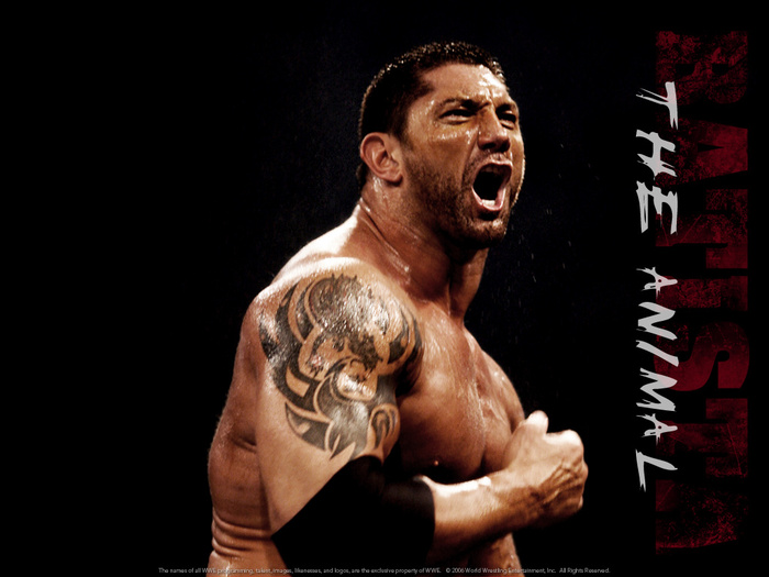 3564850 - FAN WRESTLING