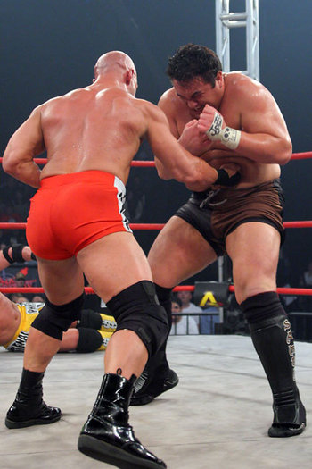 IMG_1064 - FAN WRESTLING