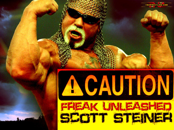 steiner1024 - FAN WRESTLING