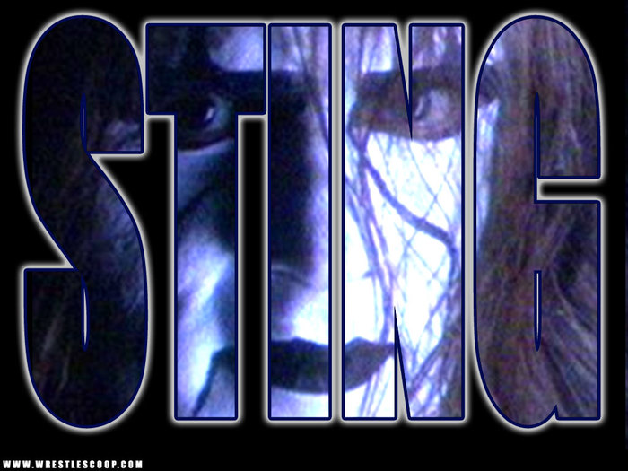 Sting - FAN WRESTLING