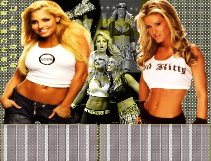 Trish Stratus & Ashley Massaro - FAN WRESTLING