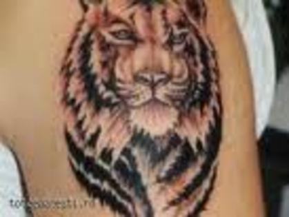 tigru - tatuaje tari