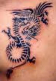 dragon - tatuaje tari
