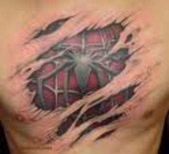 spider-man - tatuaje tari