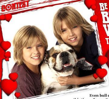 -zack si cody - myoo ydoly