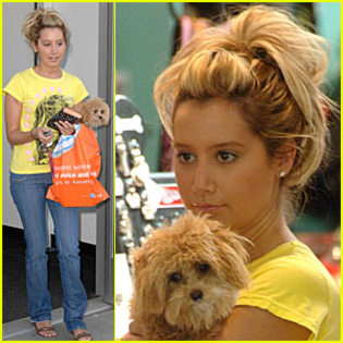 ashley-tisdale-puppy-love