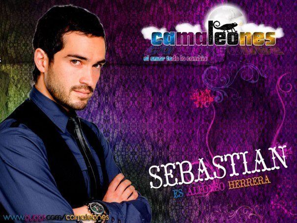 sebastian - Cameleons