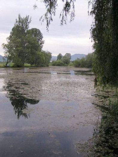 lacul Teplita - Foto din oras