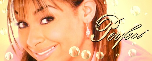 4637_perfectraebanner - the cheetah girls