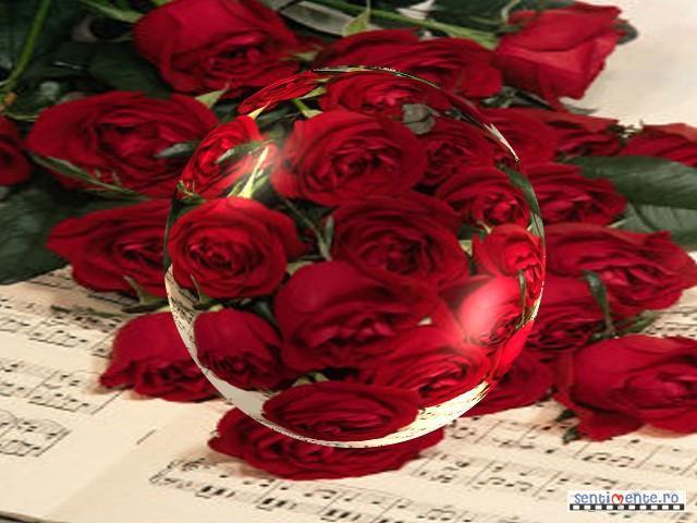 buchet d trandafiri rosi - trandafiri