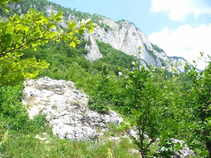 ZGFjYzM1MWYzZDc2YTE2NjRhZjdhNTg1YjBiNzEyYjfoto_13504