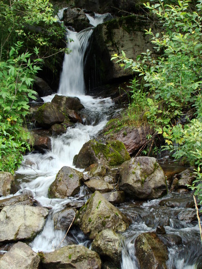 izvor pe valea Runcului