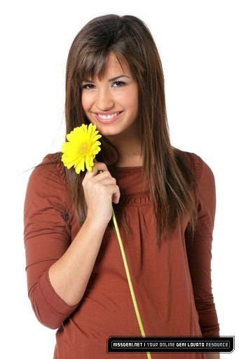 Demi-demi-lovato-2502684-341-512[1]