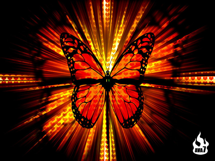 Butterfly-wallpaper-butterflies-604274_1024_768 - fluturi