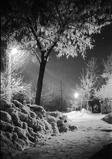 image.php - iarna