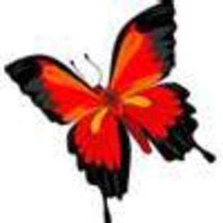 Butterfly-Avatars_152