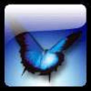 Butterfly-Avatars_212