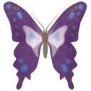 Butterfly-Avatars_263 - poze fluturashi