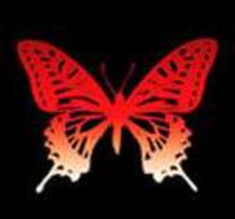 Butterfly-Avatars_293 - poze fluturashi