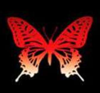 Butterfly-Avatars_293