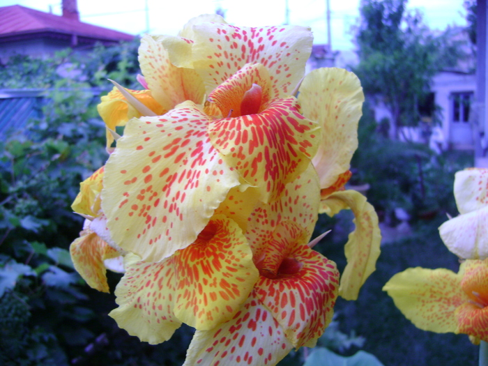 DSC07390