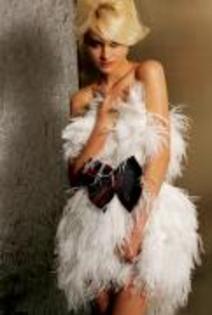 155539-front1_thumb[1]