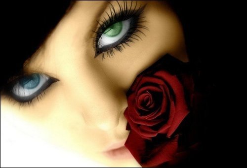 rose_with_green_and_blue_eyes_by_qwerty5678