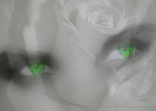 White_Rose__Green_Eyes_by_creativemikey - eyes