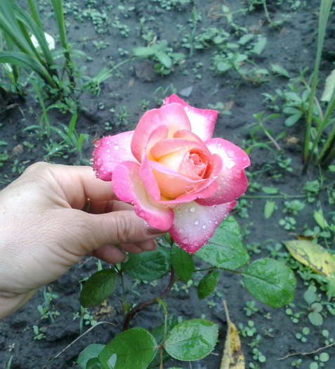 in realitate e si mai frumos