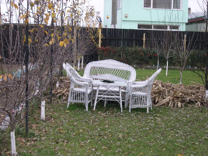 DSCN4205 - 14 dec 2008