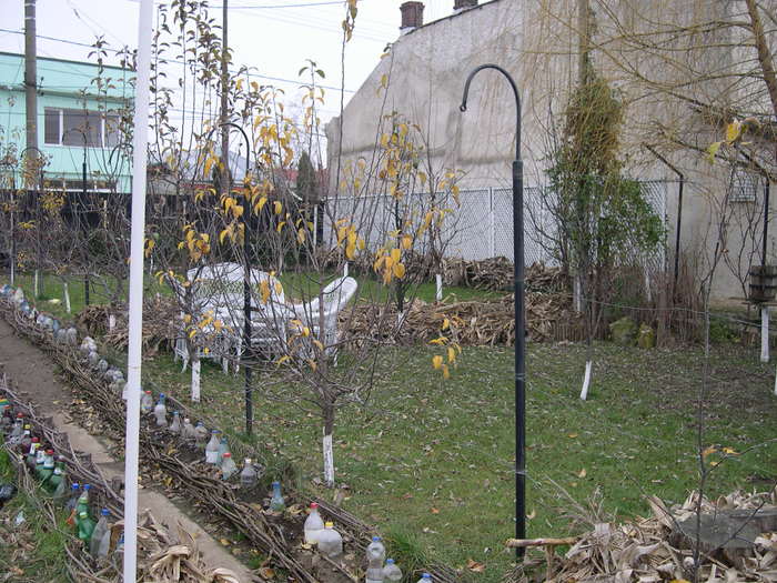 DSCN4206 - 14 dec 2008