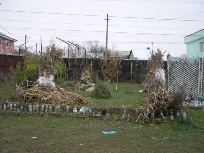 DSCN4208 - 14 dec 2008