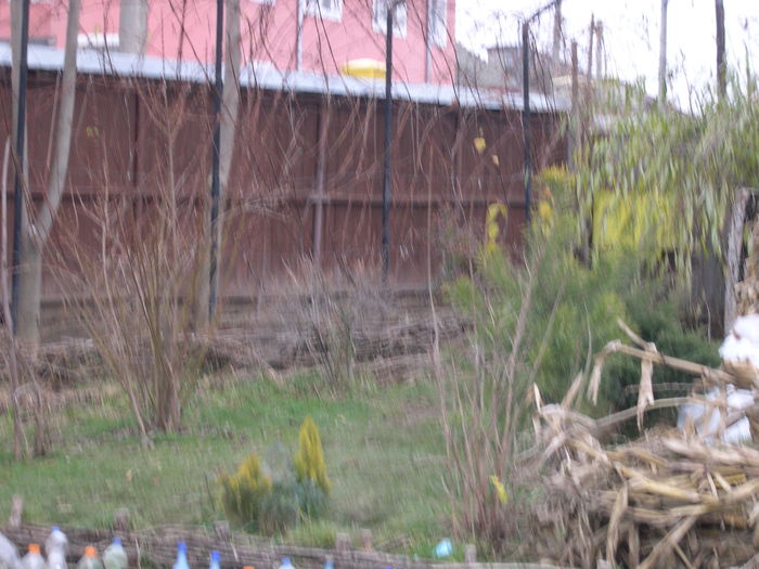 DSCN4212 - 14 dec 2008