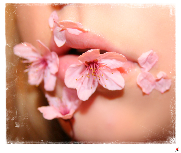 Cherry_Blossom_Kiss____by_Pinkmango77 - cherry lips
