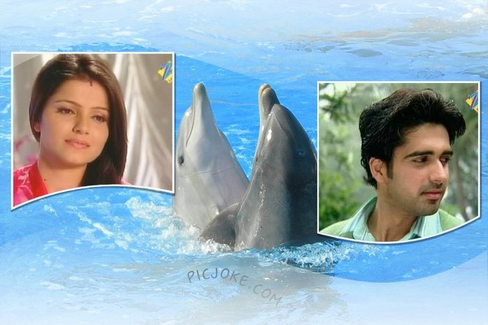 OCEANUL DEV SI RADHIKA