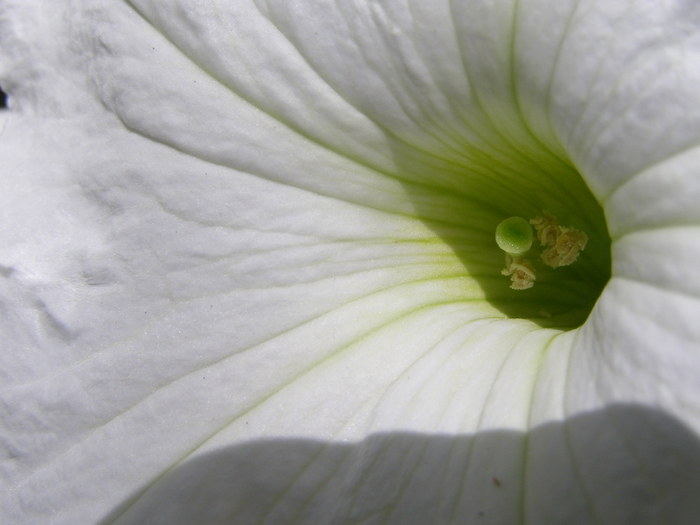 P7130240