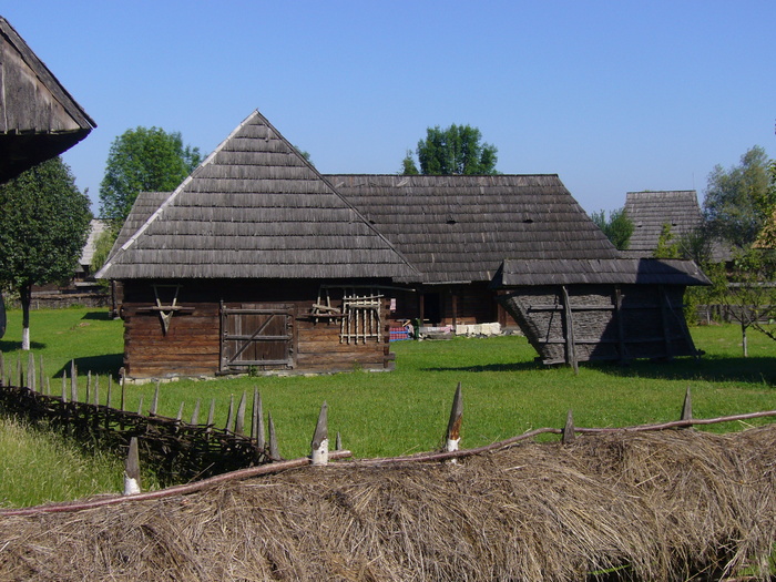 tot acolo - Foto din oras