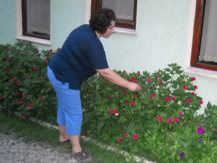 ..de vorba cu florile