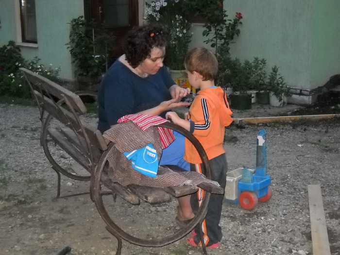 explicatii amanuntite.