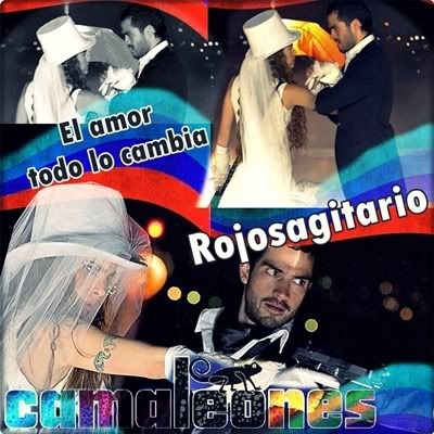 11383503_XLPXHOQJS - Camaleones