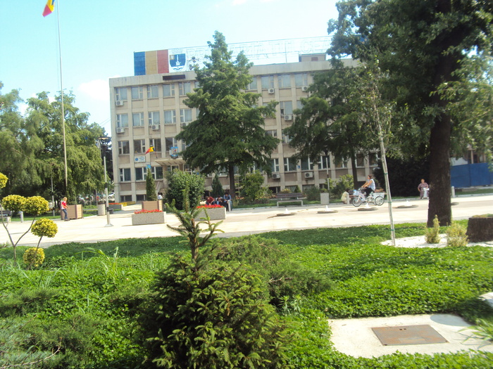 primaria - orasul de la portile Deltei
