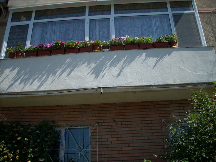 BALCONUL MEU.; BALCONUL CE MA INBIE SA MI PETREC MULT TIMP IN EL.
