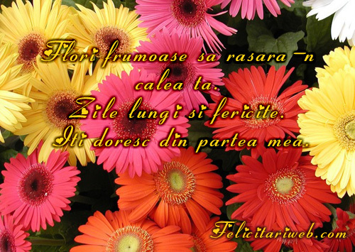 Flori_frumoase_sa_rasara_in_calea_ta - flori frumoase