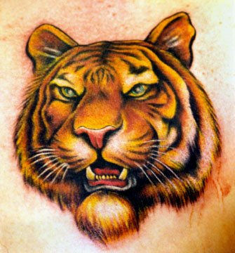tigru - tattoos