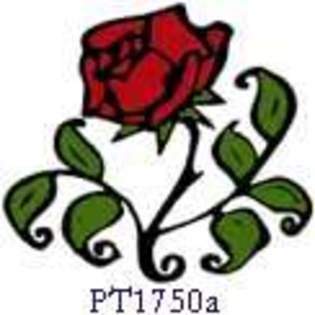 trandafir3 - tattoos