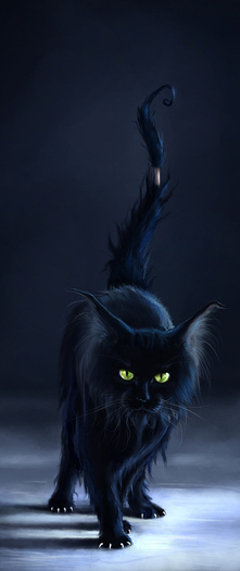drunken_black_cat_on_ice_by_cypherx - plata ptr hotelulargint